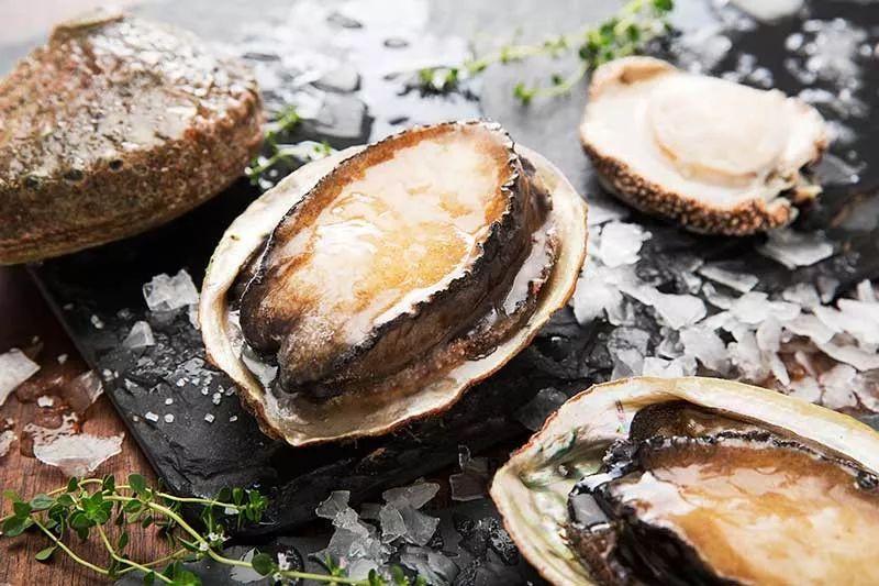 澳大利亞鮑魚進口報關流程到杭州代理水產(chǎn)品案例