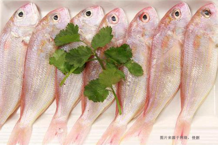 廣州進(jìn)口越南金線魚(yú)清關(guān)流程